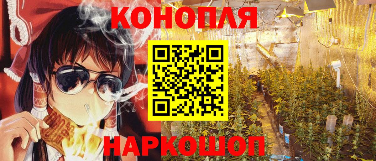 Шишки марихуана AK-47 Дагестанские Огни